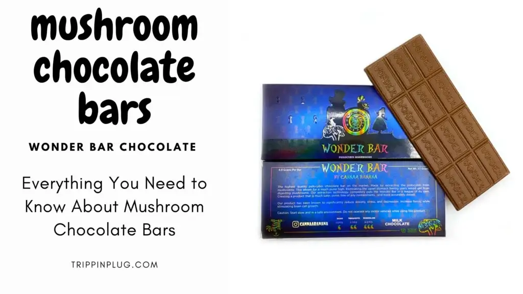 Mushroom Chocolate Bars